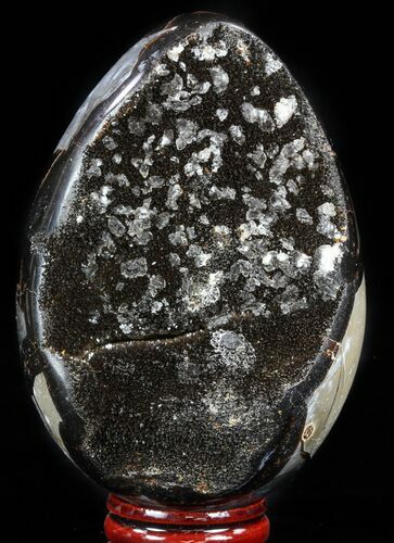 Septarian Dragon Egg Geode - Black Crystals #57347